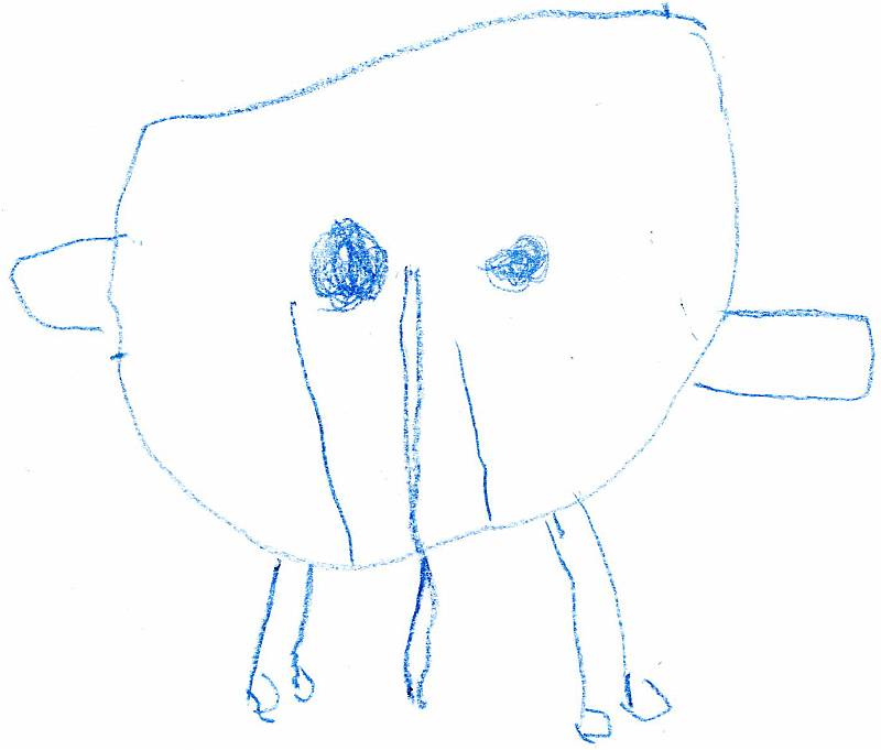 elefant 5009.jpg